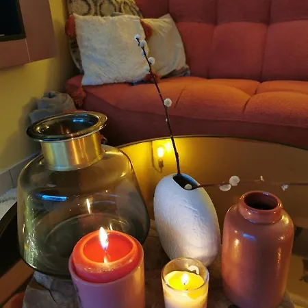 勒芒金合欢民宿 * 勒芒