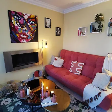 民宿 勒芒金合欢民宿