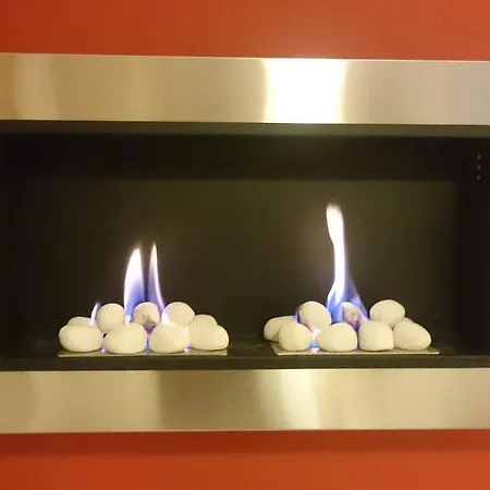 勒芒金合欢民宿