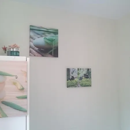 勒芒金合欢民宿 勒芒