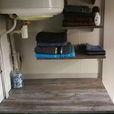 勒芒金合欢民宿 *