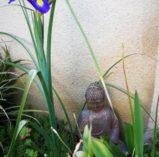 Maison Acacias منزل للإقامة